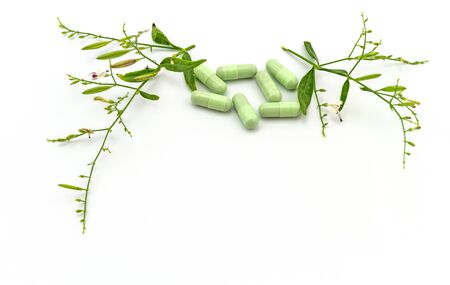 Colorful drug pill and fresh of Andrographis paniculata plant isolated on white backgroundの写真素材