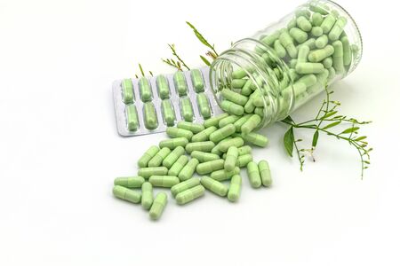 Colorful drug pill and fresh of Andrographis paniculata plant isolated on white backgroundの写真素材