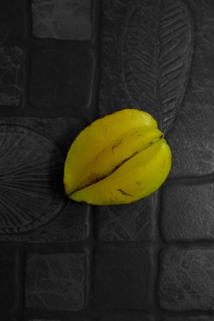 Star apple on flagstoneの写真素材