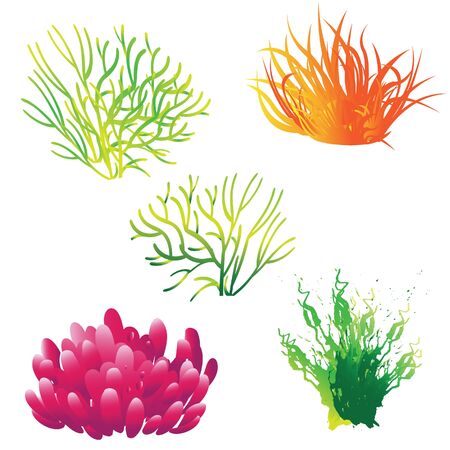 coral reef icon vectorのイラスト素材