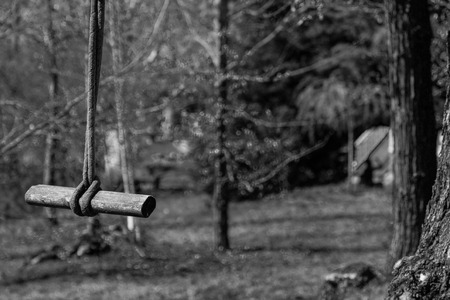 rope swing and wood photographed in black and whiteの写真素材