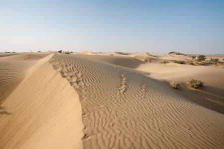 Cliche desert sand dunes in Rajasthan, India.の写真素材