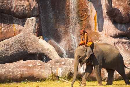 SURIN, THAILAND - NOVEMBER 20, 2010: An elephant walks in front of a manmade waterfall and cliff before the performance at the annual Surin Elephant Roundup on November 20, 2010 in Surin, Thailandのeditorial素材