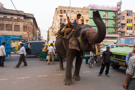 DELHI, INDIA - NOVEMBER 5, 2009: An elephant causes a chaotic traffic jam on a downtown street on November 5, 2009 in Delhi, Indiaのeditorial素材