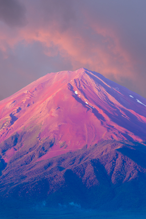 Beautiful pink sky lights up the red volcanic cone top of Mount Fuji in detail telephoto view on a summer morning in Kawaguchiko, 5 lakes area, Japan. Verticalの写真素材