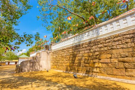 West steps of Jaya Sri Maha Bodhi tree compound and sacred fig tree above at ancient Anuradhapura capitol in Sri Lankaの写真素材