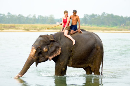 Chitwan, Nepal - December 4, 2007: A female tourist in red with mahout enjoying elephant ride in the river at Chitwan National Parkのeditorial素材