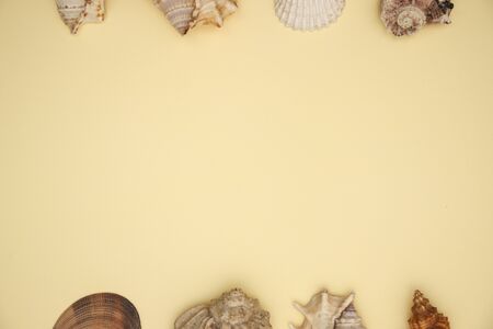 Seashells on the edges of yellow background