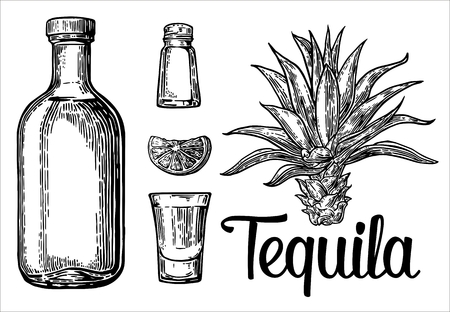 sketch set of alcoholic cocktails. engraving illustrationのイラスト素材