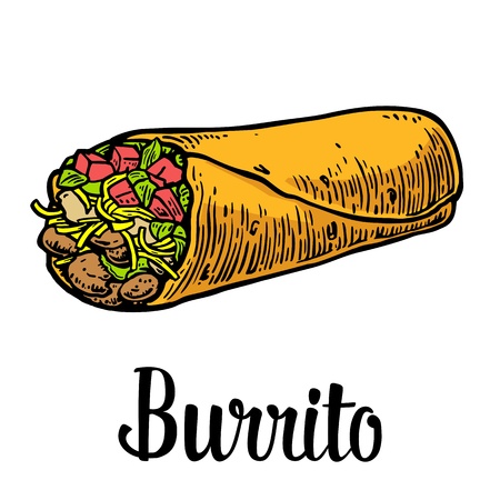 Burrito - mexican traditional food. Vector color vintage engraved illustration for menu, poster, web. Isolated on white background.のイラスト素材