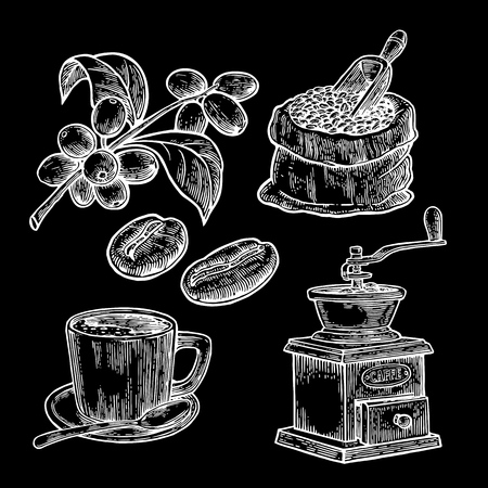 Sack with coffee beans with wooden scoop and beans, cup, branch with leaf and berry. Hand drawn sketch style. Vintage vector engraving illustration for label, web.  Isolated on black background.のイラスト素材
