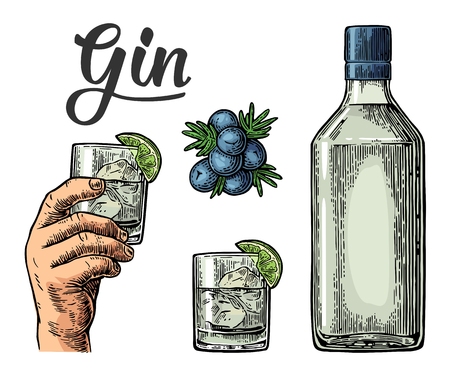 Glass and bottle of gin and branch of Juniper with berries. Vintage vector engraving illustration for label, poster, web, invitation to party. Isolated on white backgroundのイラスト素材