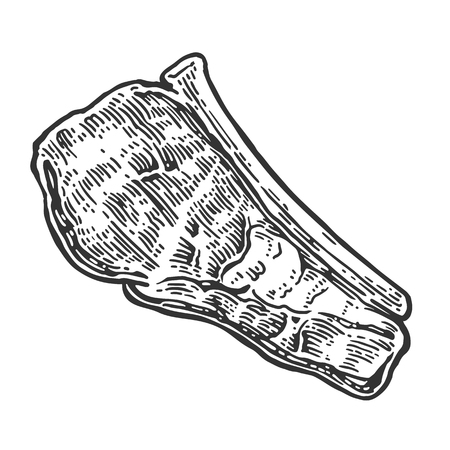 Beef grilled steak with bone top view. Vintage black engraving illustration. Isolated on white background.のイラスト素材