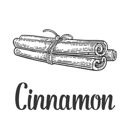 Three cinnamon sticks tied by rope. Isolated on white background. Vector black vintage engraving illustration. Hand drawn design element and lettering for label and posterのイラスト素材