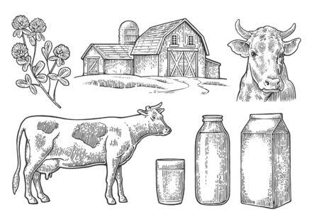 Set Milk farm. Cow head, clover, box carton package, glass and bottle.のイラスト素材