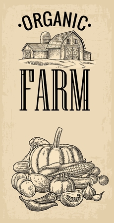 Poster with farm and set vegetables. Vector black vintage engraving illustration on the beige old paper texture background.のイラスト素材