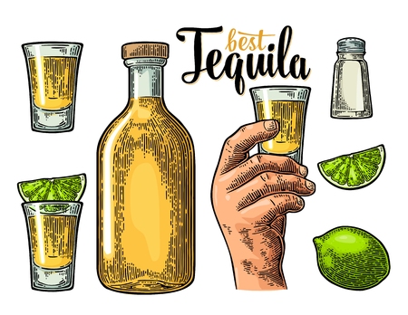Set for tequila.のイラスト素材
