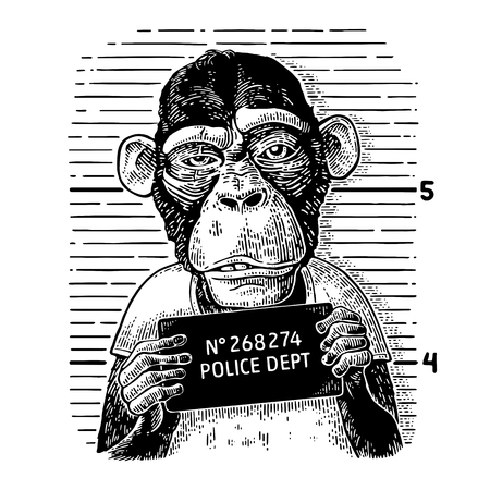 Monkeys in a T-shirt holding a police department bannerのイラスト素材