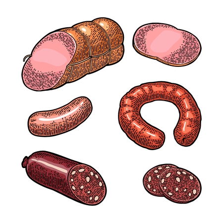 Set meat sausage. Vintage color vector engraving illustration.のイラスト素材