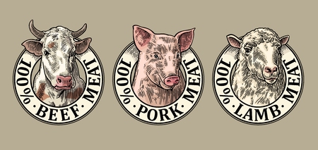 Cows, pig, sheep head. 100 percent beef pork lamb meat lettering. Hand drawn in a graphic style. Vintage color vector engraving illustration for label, poster, logotype. Isolated on gray backgroundのイラスト素材