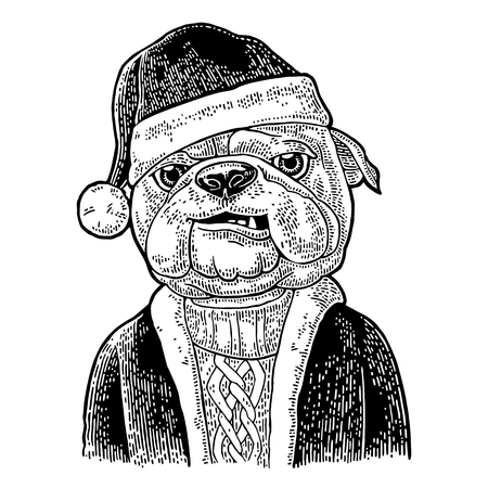 Dog Santa claus in hat, coat, sweater. Vintage black engraving illustration for poster. Isolated on white backgroundのイラスト素材