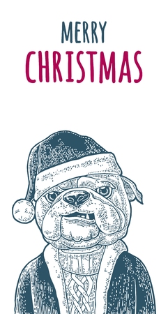 Dog santa claus in hat, coat, sweater and merry christmas handwriting lettering vintage color engraving illustration for poster.のイラスト素材