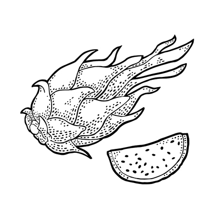 Dragon fruit whole and slice. Vector vintage engraving black illustration for menu, poster. Isolated on white background.のイラスト素材
