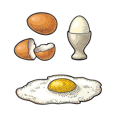 Fried egg and broken shell. Vintage color engraving illustration.のイラスト素材