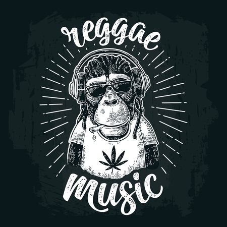 Monkey hipster with dreadlocks in headphones, sunglasses and t-shirt.のイラスト素材