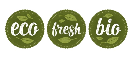 Bio, eco, fresh calligraphic handwriting lettering and leaf. Vector white vintage illustration isolated on dark green circle sticker. Sign for natural organic foodのイラスト素材