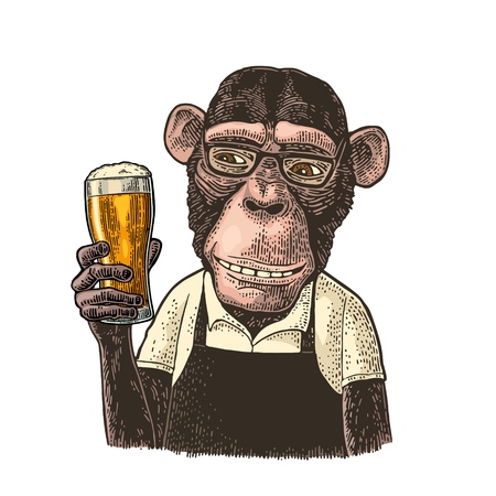 Monkeys fast food worker dressed in apron holding glass of beer. Vintage color engraving illustration. Isolated on white background. Hand drawn design element for poster and t-shirtのイラスト素材