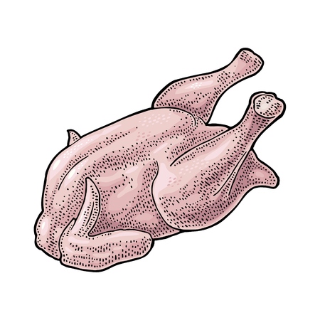 Whole raw chicken. Vintage black engraving illustrationのイラスト素材