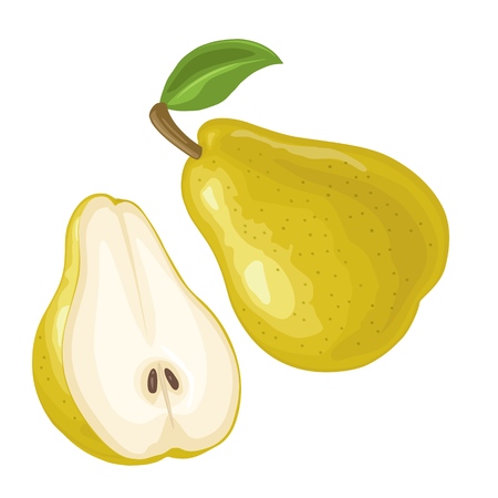 Pear whole and half with leaf. Vector color flat illustrationのイラスト素材