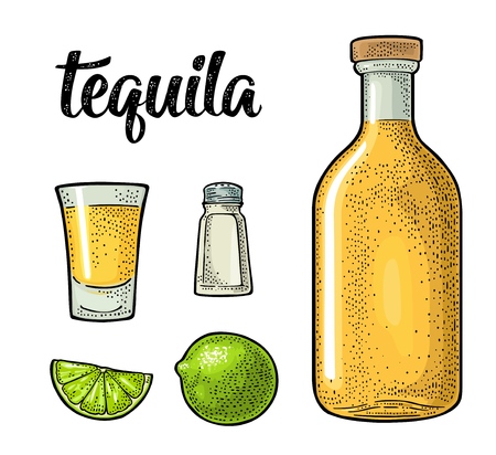 Glass and botlle of tequila. Cactus, salt, limeのイラスト素材