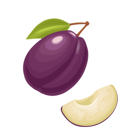 Whole and slice plum with seed and leaf. Vector color flat illustration for menu, poster. Isolated on white backgroundの写真素材