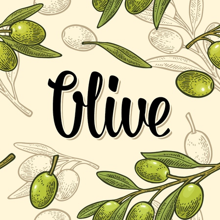 Seamless pattern olives on branch with leaves. Hand drawn design element. Vintage color vector engraving illustration for poster, menu, label, web. Isolated on beige background.のイラスト素材