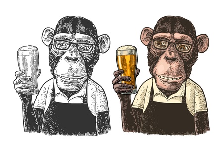 Monkey fast food worker dressed in apron holding glass of beer. Vintage color and black engraving illustration. Isolated on white background. Hand drawn design element for poster and t-shirtのイラスト素材