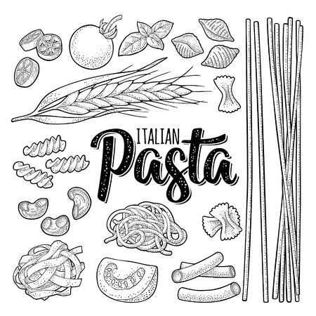 Different types macaroni and ITALIAN PASTA lettering. Vector engravingのイラスト素材