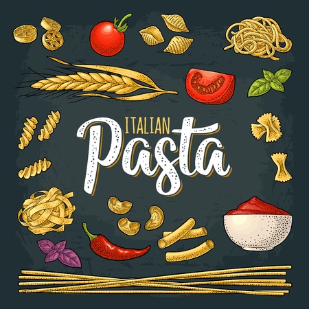 Different types macaroni and ITALIAN PASTA handwriting lettering. Farfalle, conchiglie, maccheroni, fusilli, penne, pipe, spaghetti, ruote, fettuccine tomato, wheat. Vector vintage color engravingのイラスト素材