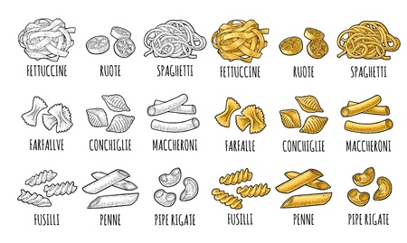 Set pasta. Farfalle, conchiglie, maccheroni, fusilli, penne, pipe rigate. Engravingのイラスト素材