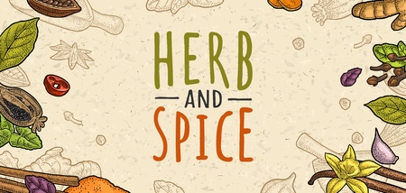 Poster with pepper, cinnamon, mint, cloves, cocoa, poppy, chilli, vanilla, bay leaf, anise, garlic ,cardamom, ginger. HERB and SPICE lettering. Vector color vintage engraving on beige spotted textureのイラスト素材
