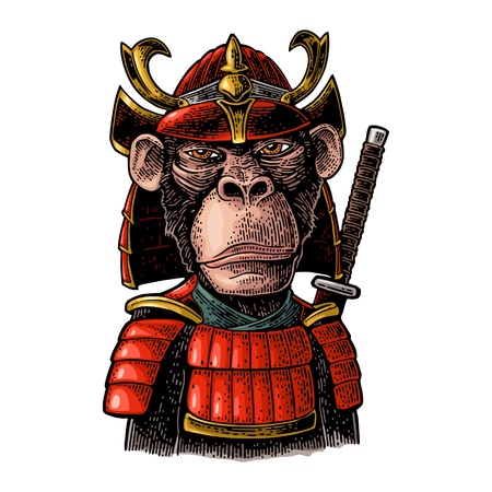 Monkey dressed in the japan helmet and armor with samurai sword behind. Vintage color engraving...