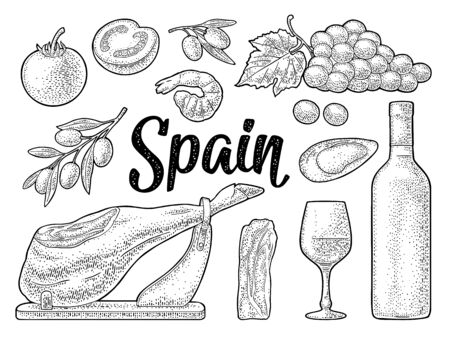Spain traditional food set. Vector vintage black engravingのイラスト素材