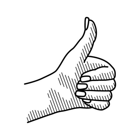 Female hand showing symbol like isolated on a white background.のイラスト素材