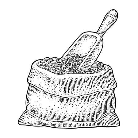 Sack with coffee beans with wooden scoop. Vintage black vector engravingのイラスト素材