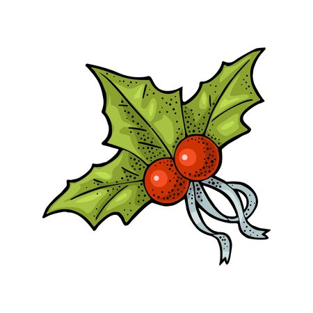 Christmas mistletoe with ribbon. Vector vintage color engravingのイラスト素材