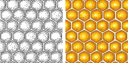 Honey Seamless Pattern with honeycomb. Hand drawn design element. Vector color engraving illustration. Isolated on white background.のイラスト素材