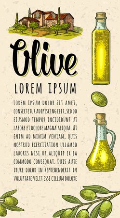 Vertical template for menu, poster, label olive oil. Bottle, jug, branch with leaves. Landscape with villa or farm with field, tree and cypress. Vector black vintage engraving isolated on craft paperのイラスト素材