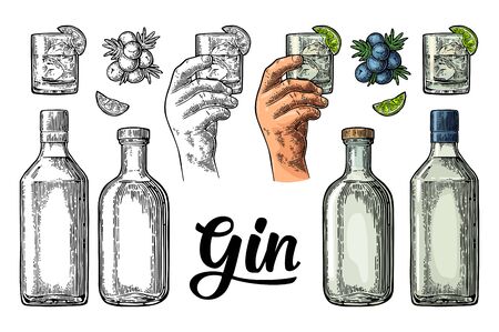 Glass and bottle gin and branch juniper. Vintage vector color engravingのイラスト素材