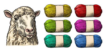 Sheep on meadow and yarn. Vintage vector engraving illustrationのイラスト素材